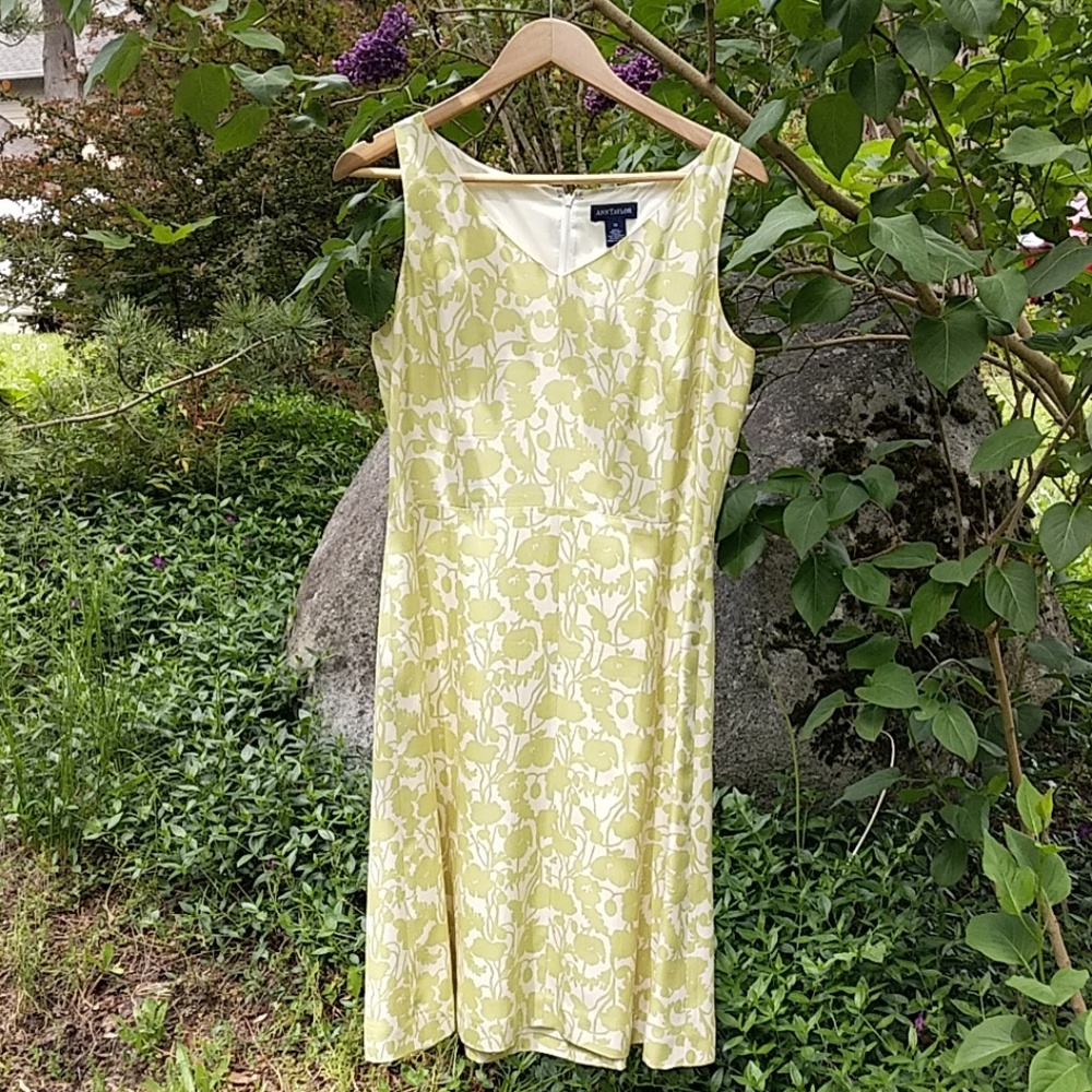 Light green silk Ann Taylor dress